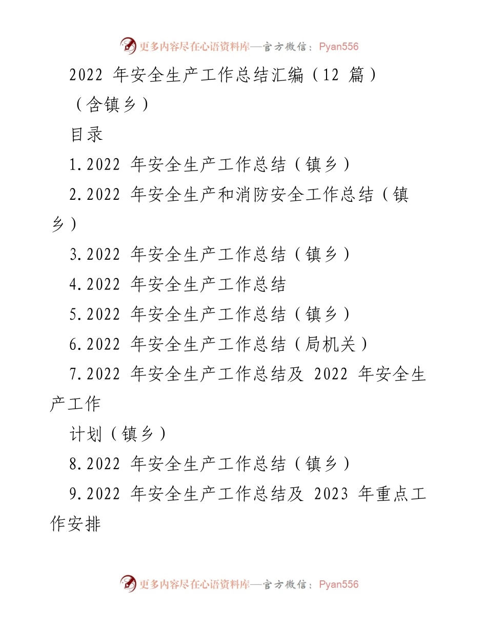 [工作总结] 安全生产 - 2022年安全生产工作总结及整改措施汇编.docx_第1页