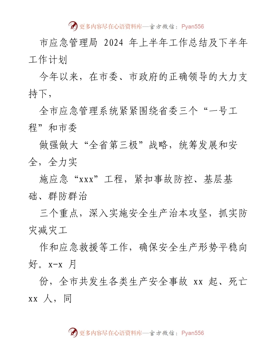[工作总结] 市应急管理局 - 2024年上半年工作总结与下半年工作计划.docx_第1页
