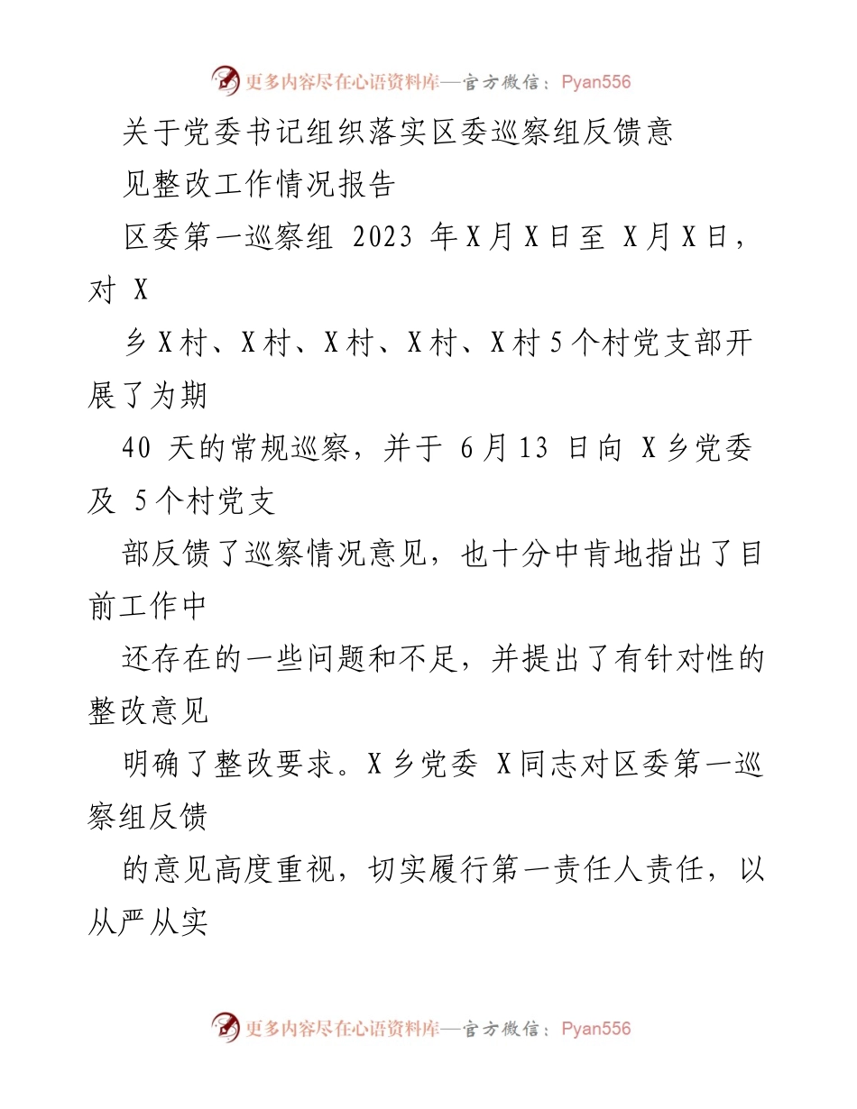 [工作总结] 巡察整改工作 - 党委书记落实巡察反馈意见整改工作情况报告.docx_第1页