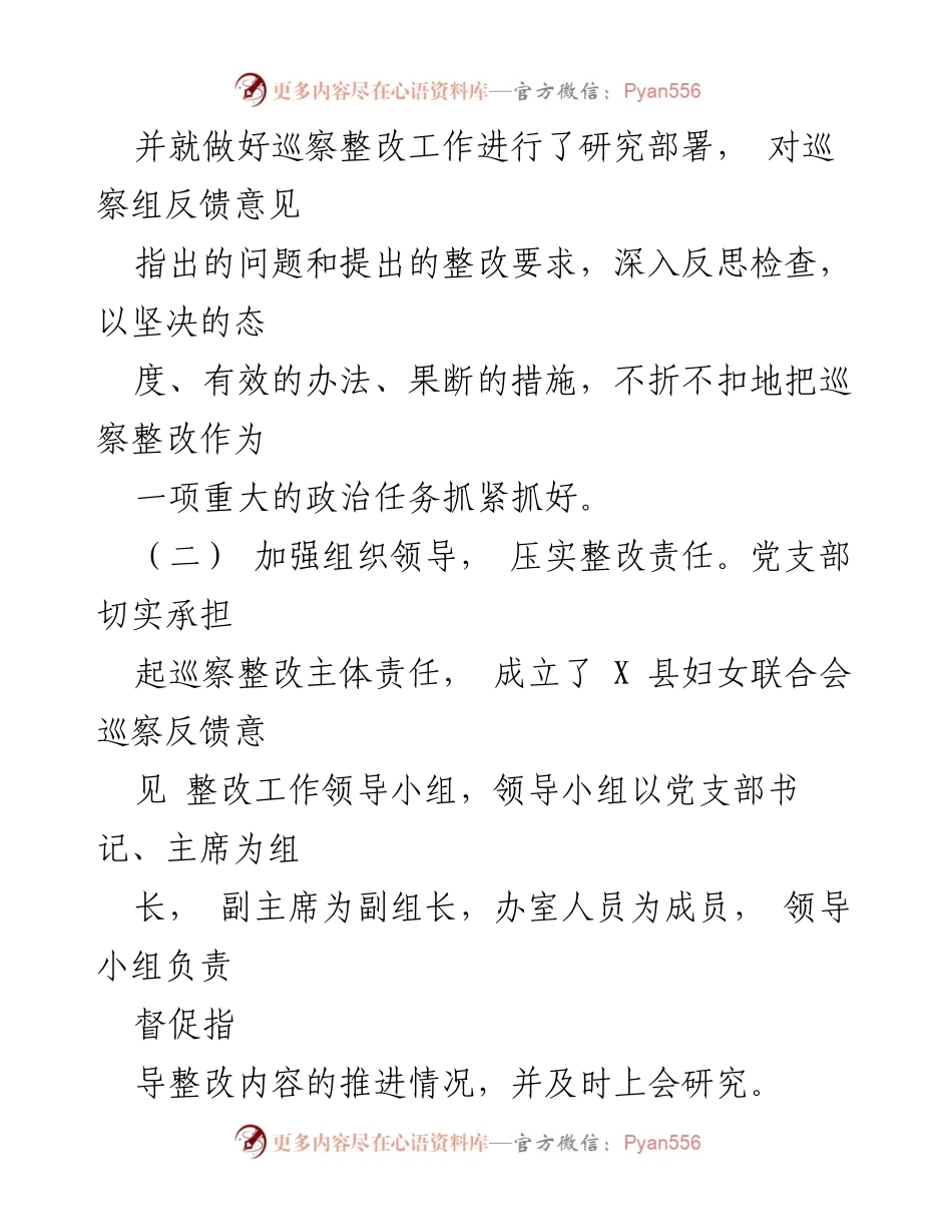 [工作总结] 巡察整改 - 县妇女联合会巡察整改进展情况总结报告.docx_第2页
