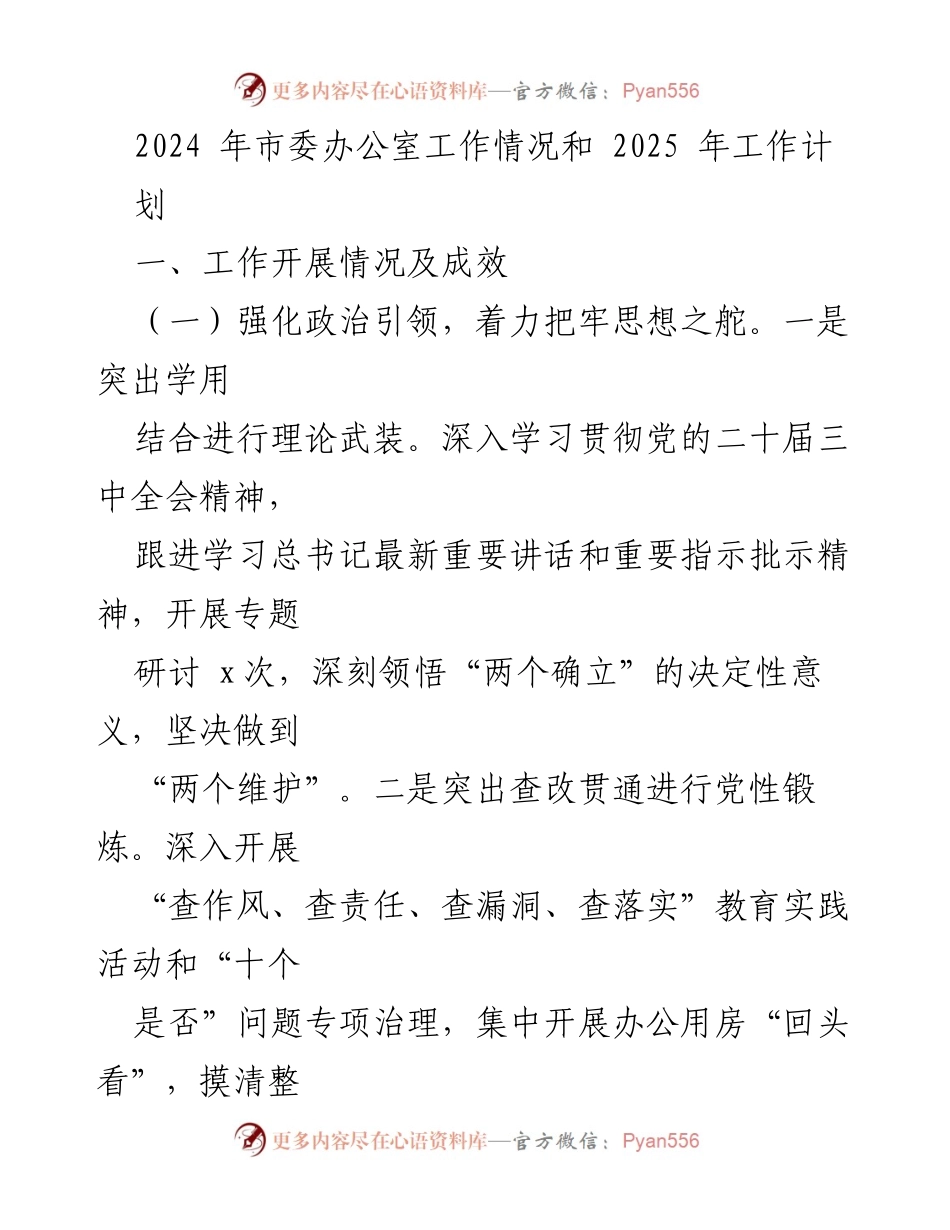 [工作总结] 市委办公室 - 2024年工作开展情况及2025年工作计划概述.docx_第1页