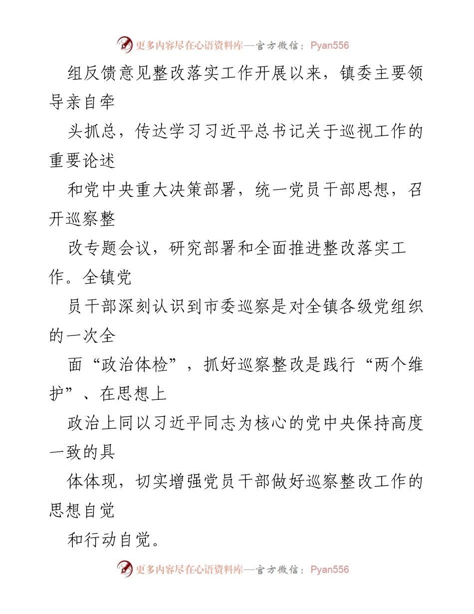 [工作总结] 巡察整改 - X镇市委第一轮巡察整改进展情况报告.docx_第2页