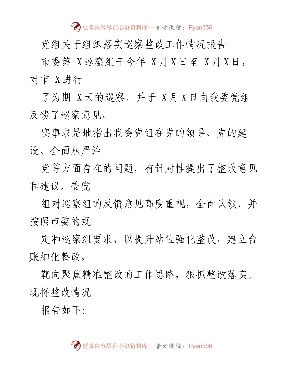 [工作总结] 巡察整改 - 党组巡察整改工作落实情况报告.docx_第1页