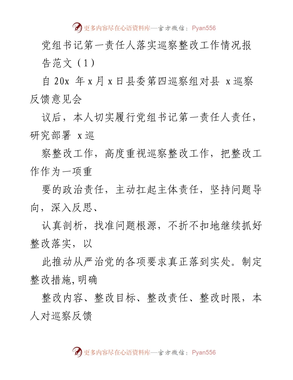[工作总结] 巡察整改 - 党组书记巡察整改工作落实情况报告.docx_第1页