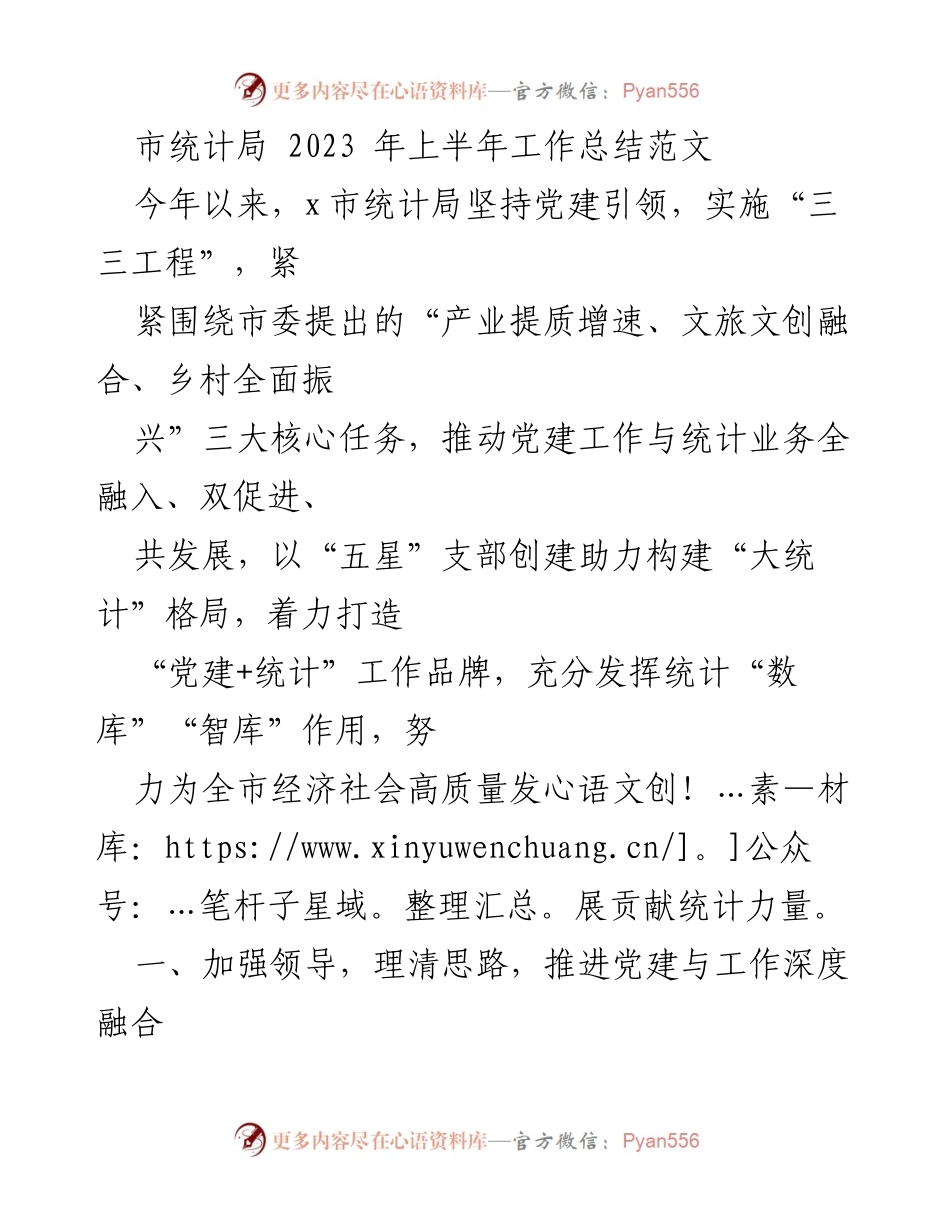 [工作总结] 市统计局 - 2023 年上半年工作总结与党建融合推进报告.docx_第1页