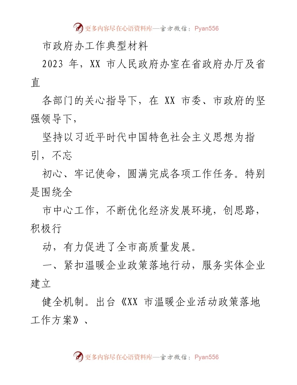 [工作总结] 市政府办 - 2023年XX市政府办工作总结与政策落地行动报告.docx_第1页