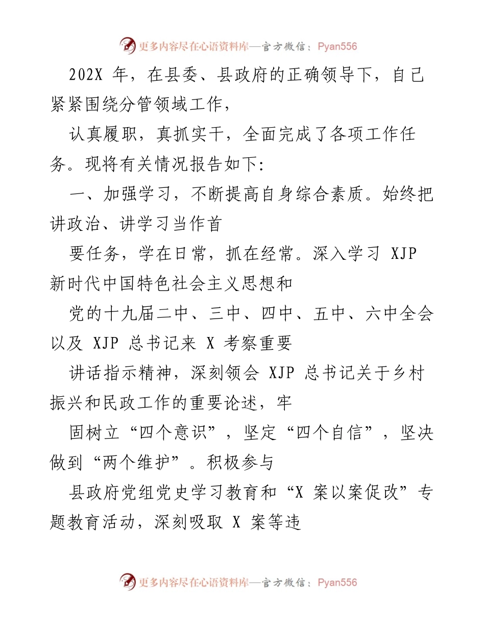[工作总结] 年度工作汇报 - 202X年分管领域工作总结报告.docx_第1页