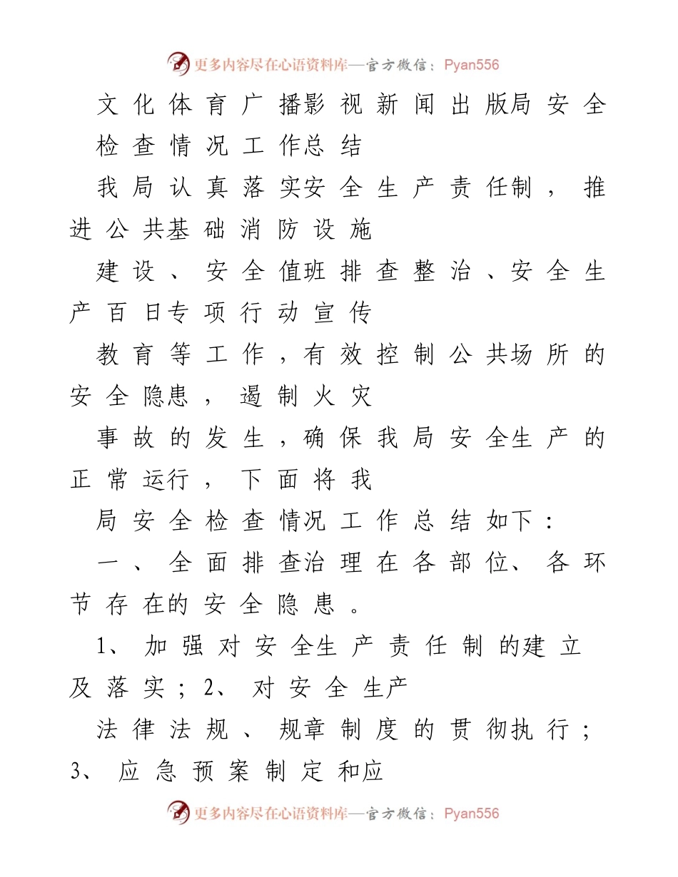 [工作总结] 安全检查 - 文化体育广播影视新闻出版局安全检查工作总结.docx_第1页