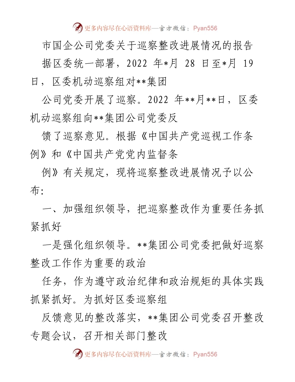 [工作总结] 巡察整改 - 市国企公司党委巡察整改进展情况报告_1.docx_第1页