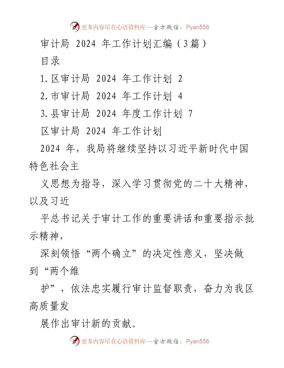 [工作总结] 审计局 - 2024 年审计工作计划汇编.docx_第1页
