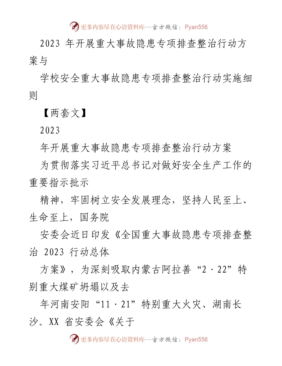 [工作总结] 安全生产 - 2023年乡镇安全生产大检查大整治行动方案及实施细则.docx_第1页