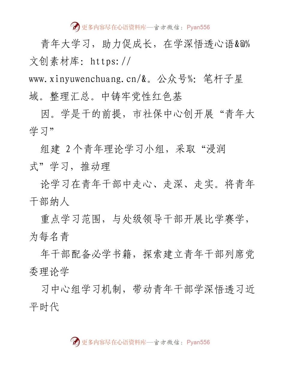 [工作总结] 市社保中心 - 青年干部培养工作进展汇报.docx_第2页