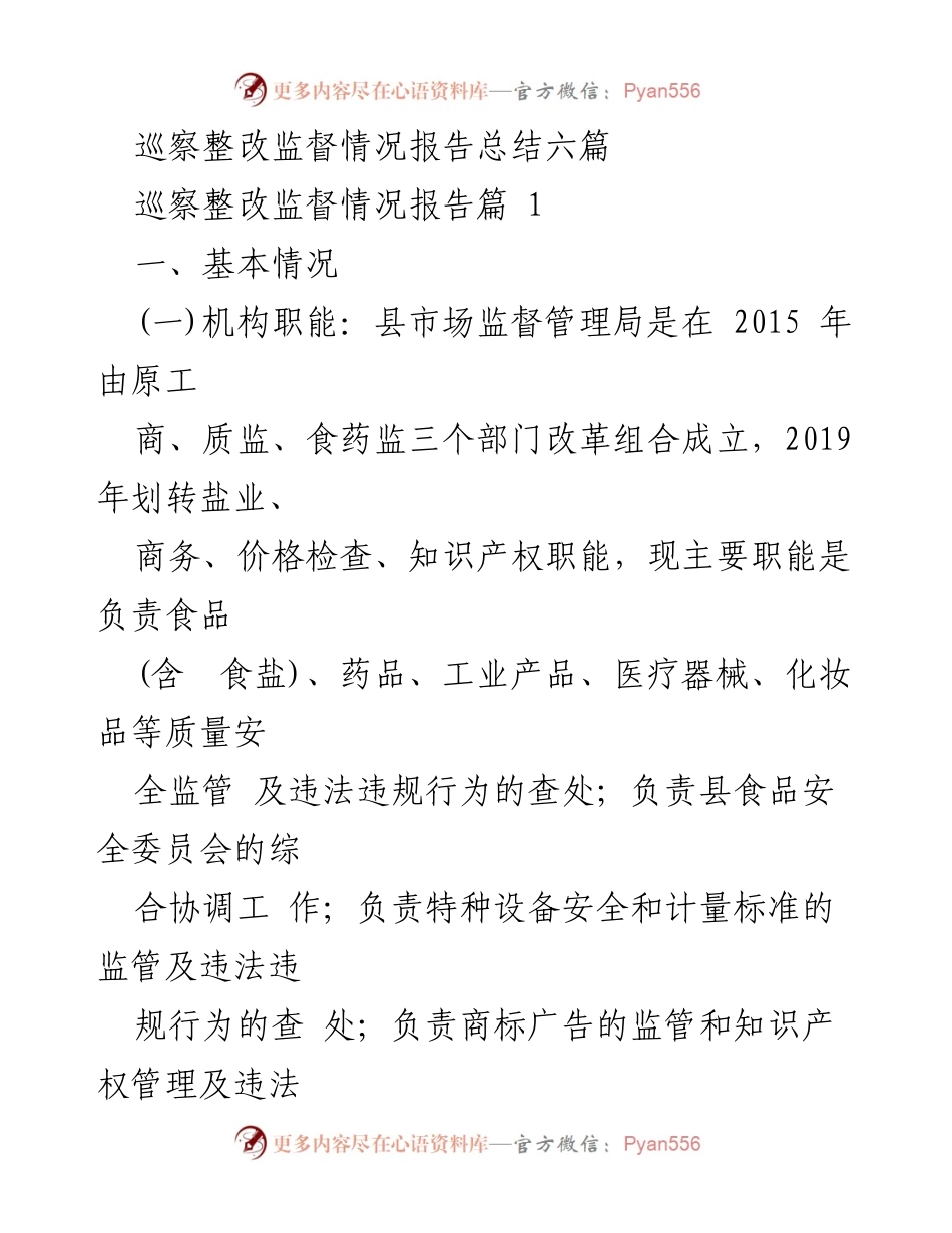 [工作总结] 巡察整改 - 巡察整改监督情况报告总结及工作成效分析.docx_第1页