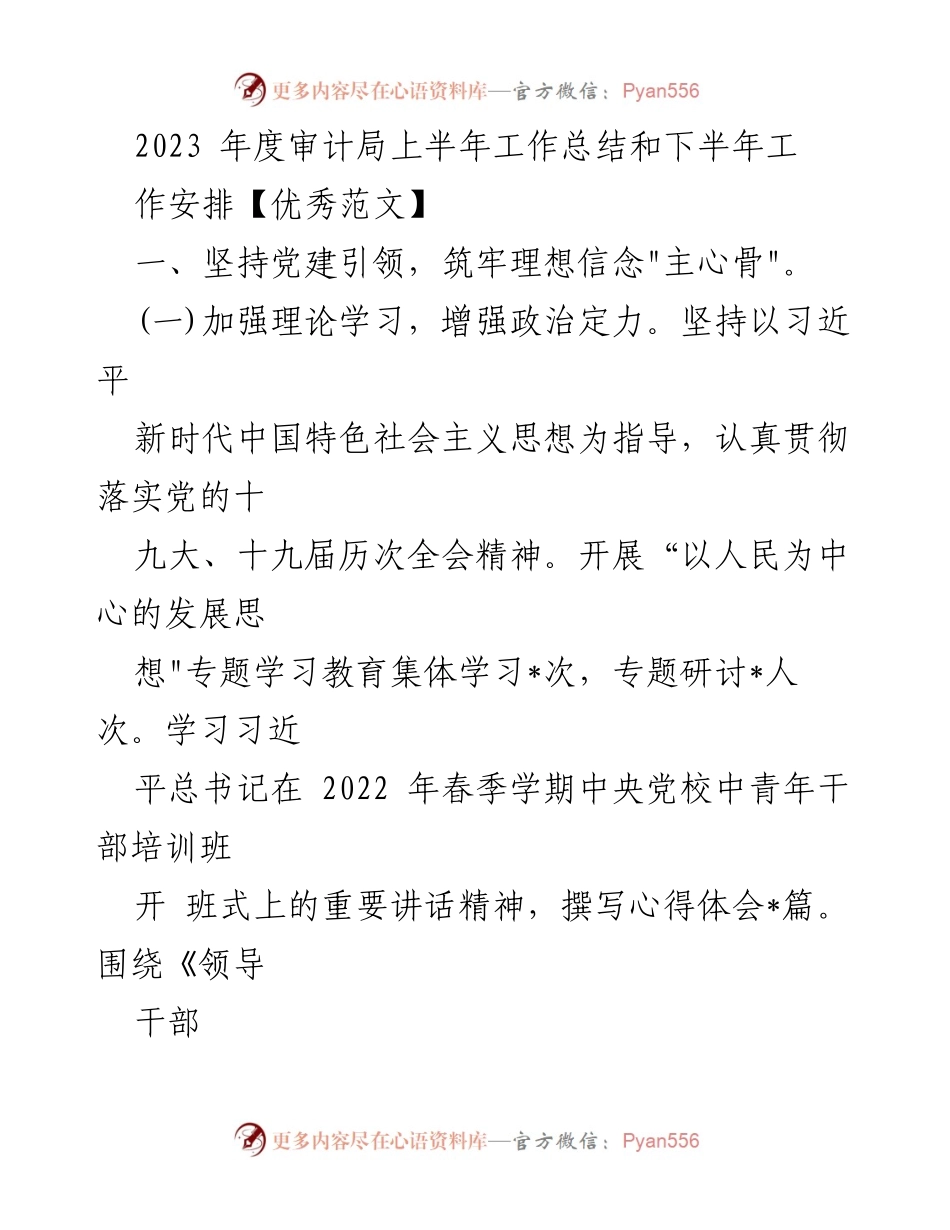 [工作总结] 年度审计局 - 2023年上半年工作总结与下半年工作安排.docx_第1页