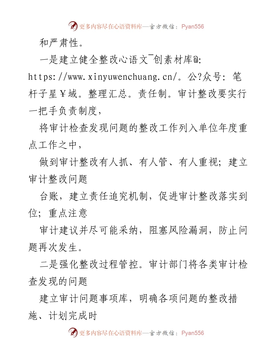[工作总结] 审计整改 - 提升审计整改工作成效的措施与实践.docx_第2页