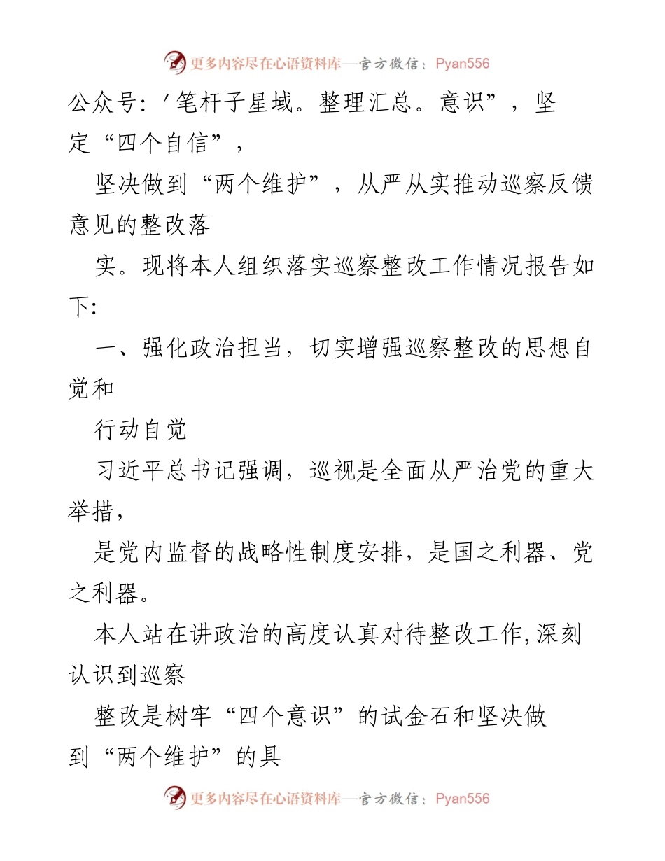 [工作总结] 巡察整改会议 - 巡察反馈意见整改工作总结报告.docx_第2页