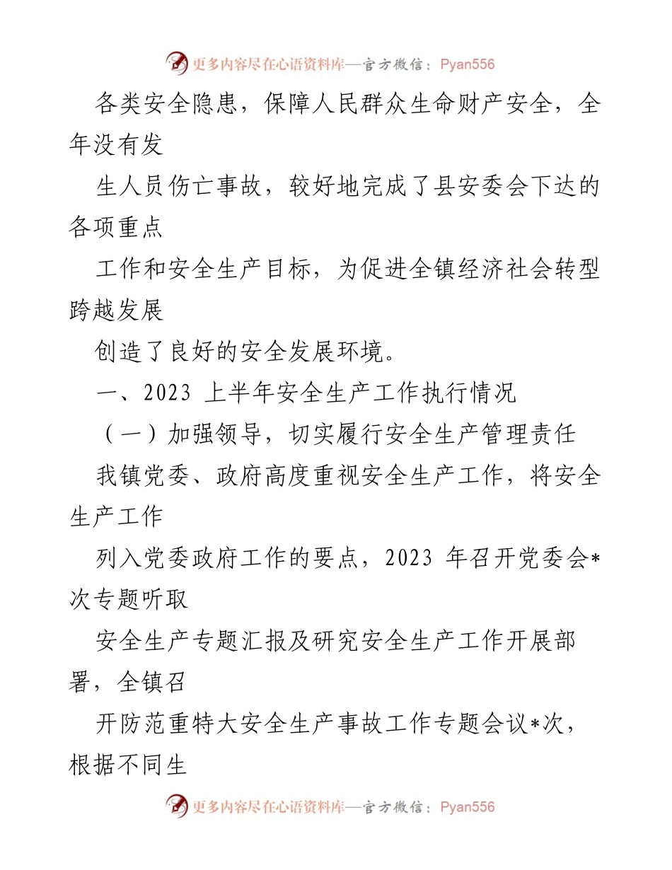[工作总结] 安全生产 - 2023年某镇安全生产工作总结.docx_第2页