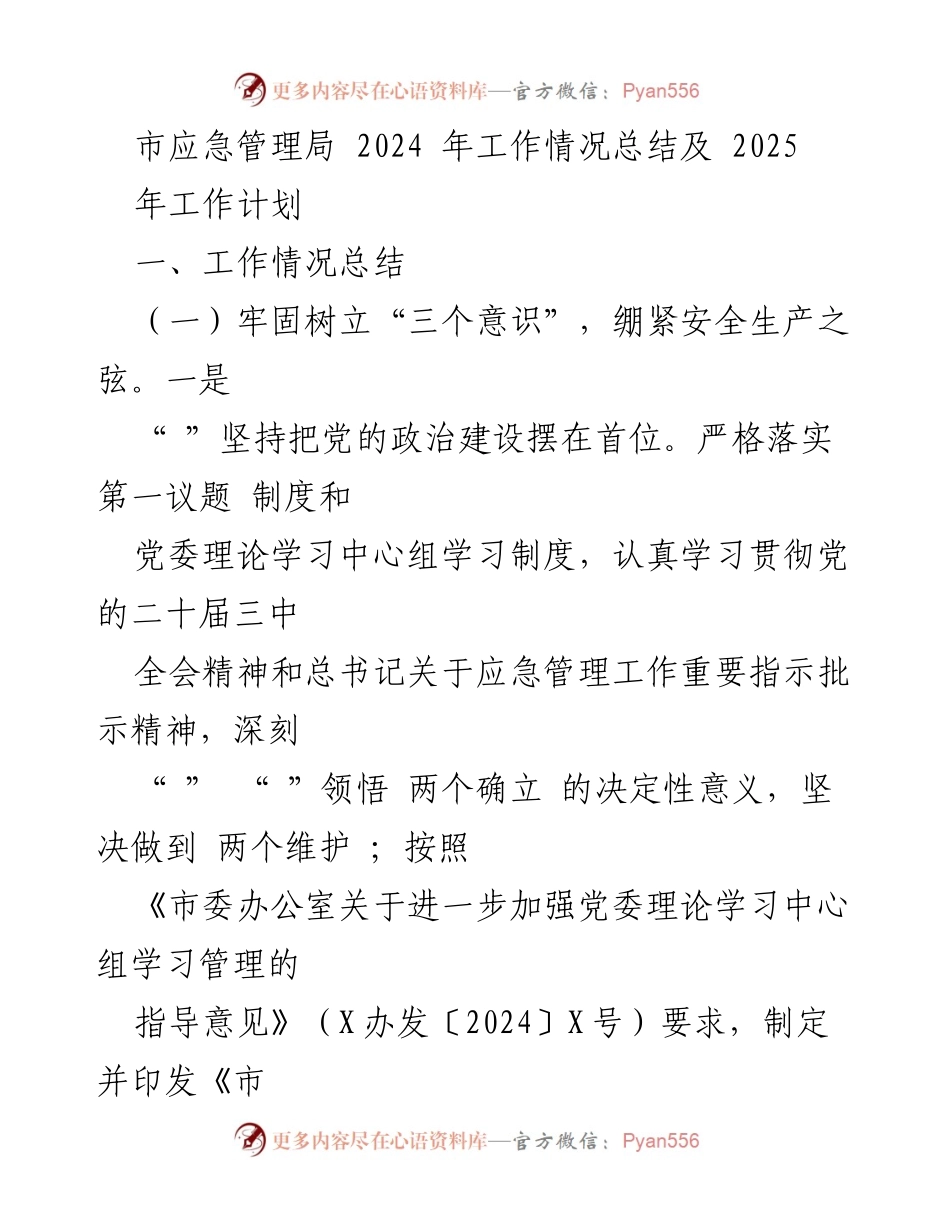 [工作总结] 市应急管理局 - 2024年工作总结与2025年工作计划概述.docx_第1页