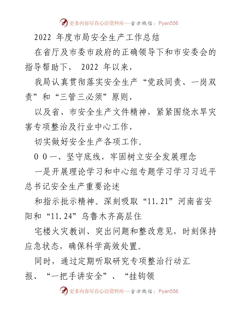 [工作总结] 年度安全生产 - 2022年度市局安全生产工作总结.docx_第1页