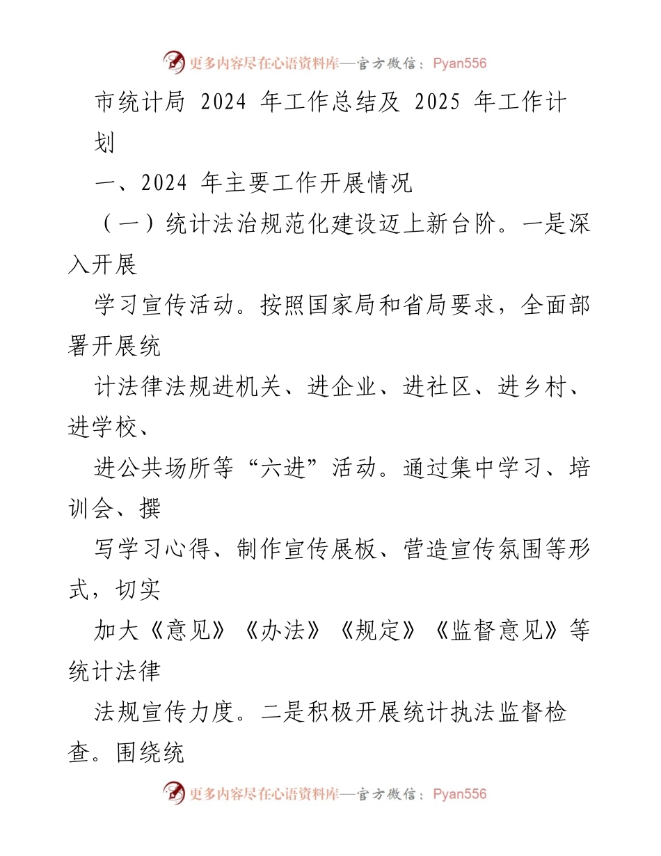 [工作总结] 市统计局 - 2024年工作总结及2025年工作计划.docx_第1页