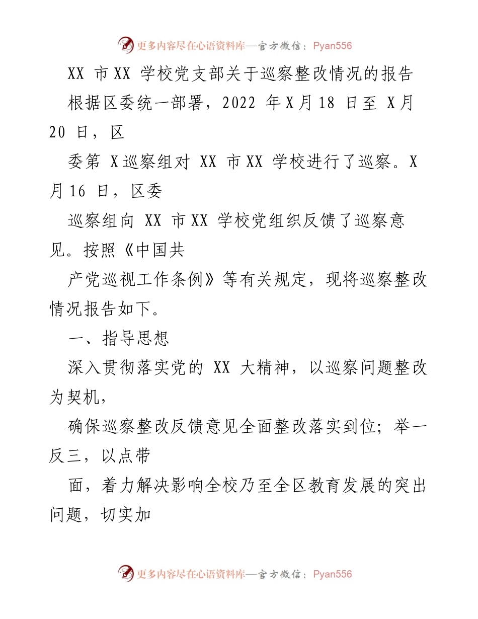 [工作总结] 巡察整改 - XX市XX学校党支部巡察整改情况报告.docx_第1页