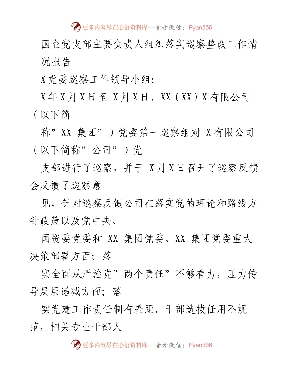 [工作总结] 巡察整改 - 国企党支部巡察整改工作落实情况报告_1.docx_第1页