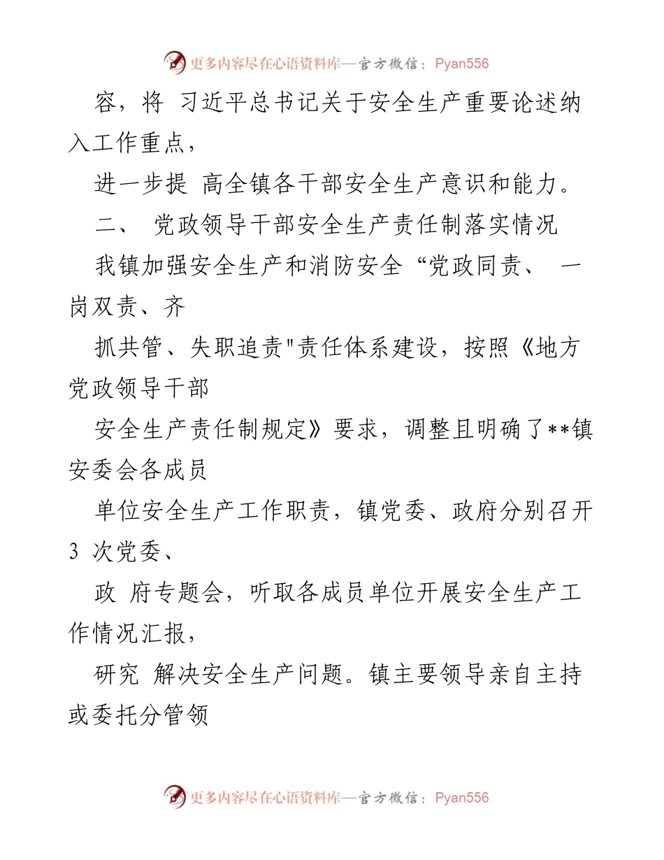 [工作总结] 安全生产风险整治 - 乡镇安全生产风险整治工作情况汇报.docx_第2页