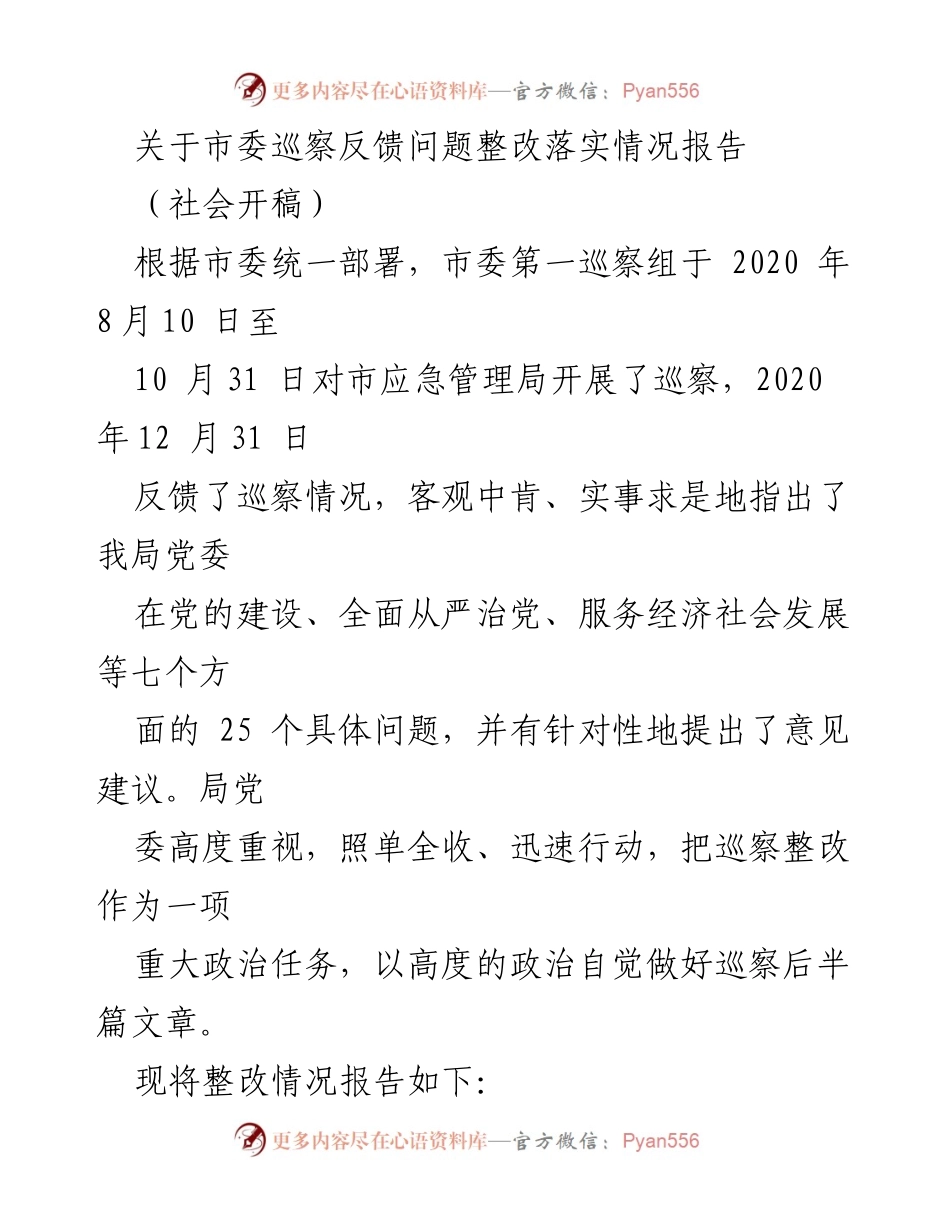 [工作总结] 巡察整改 - 市应急管理局巡察反馈问题整改落实情况报告.docx_第1页