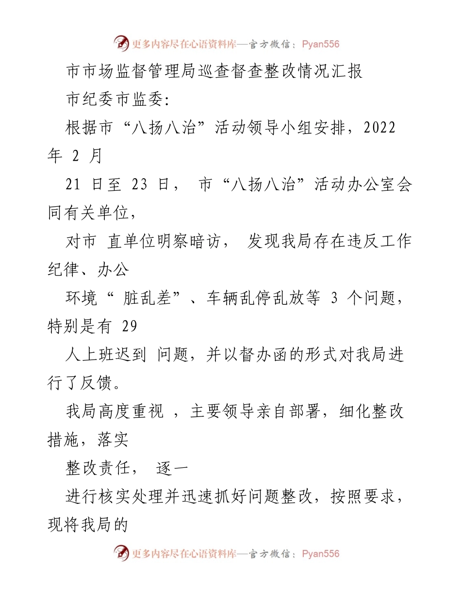 [工作总结] 市市场监督管理局 - 巡查督查整改情况汇报及问题分析.docx_第1页