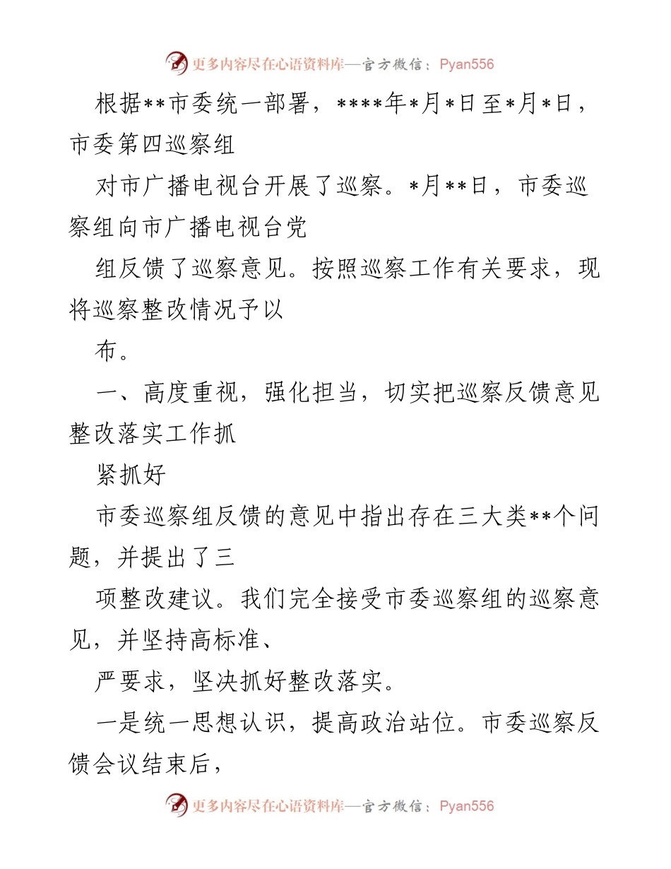 [工作总结] 巡察整改 - 市广播电视台巡察整改工作总结报告.docx_第1页