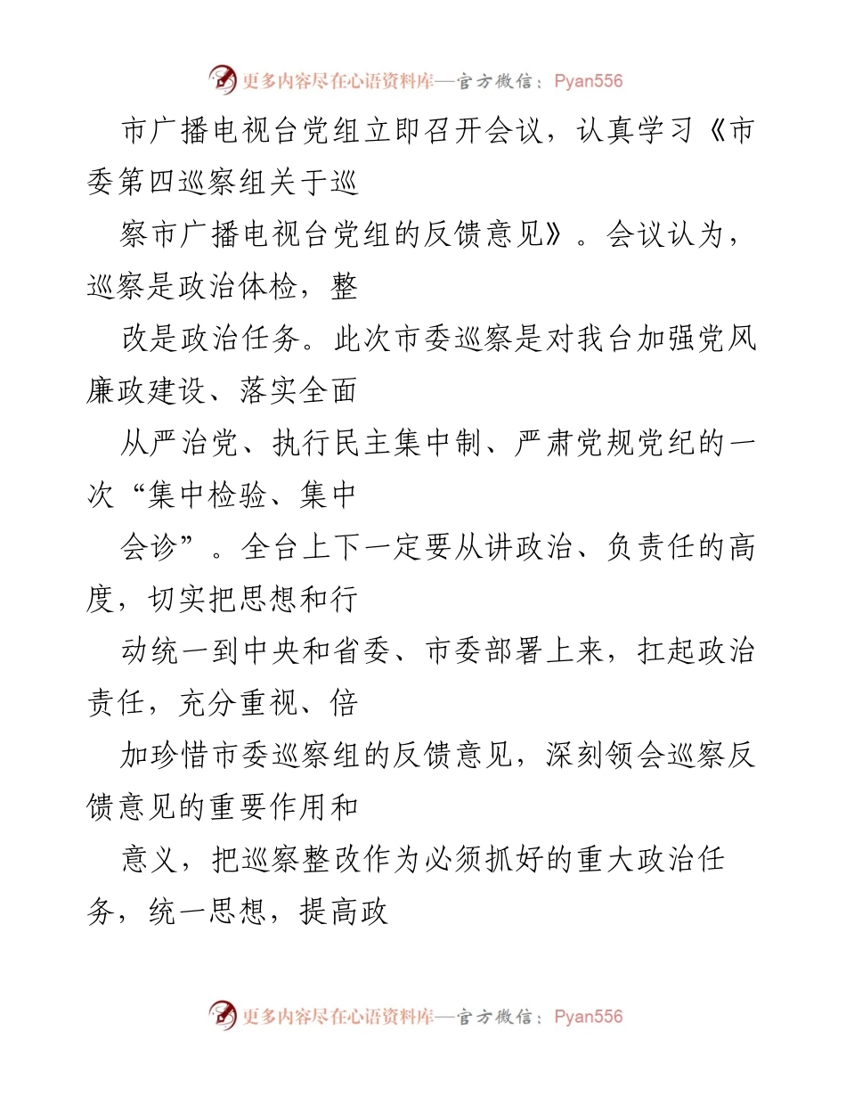 [工作总结] 巡察整改 - 市广播电视台巡察整改工作总结报告.docx_第2页
