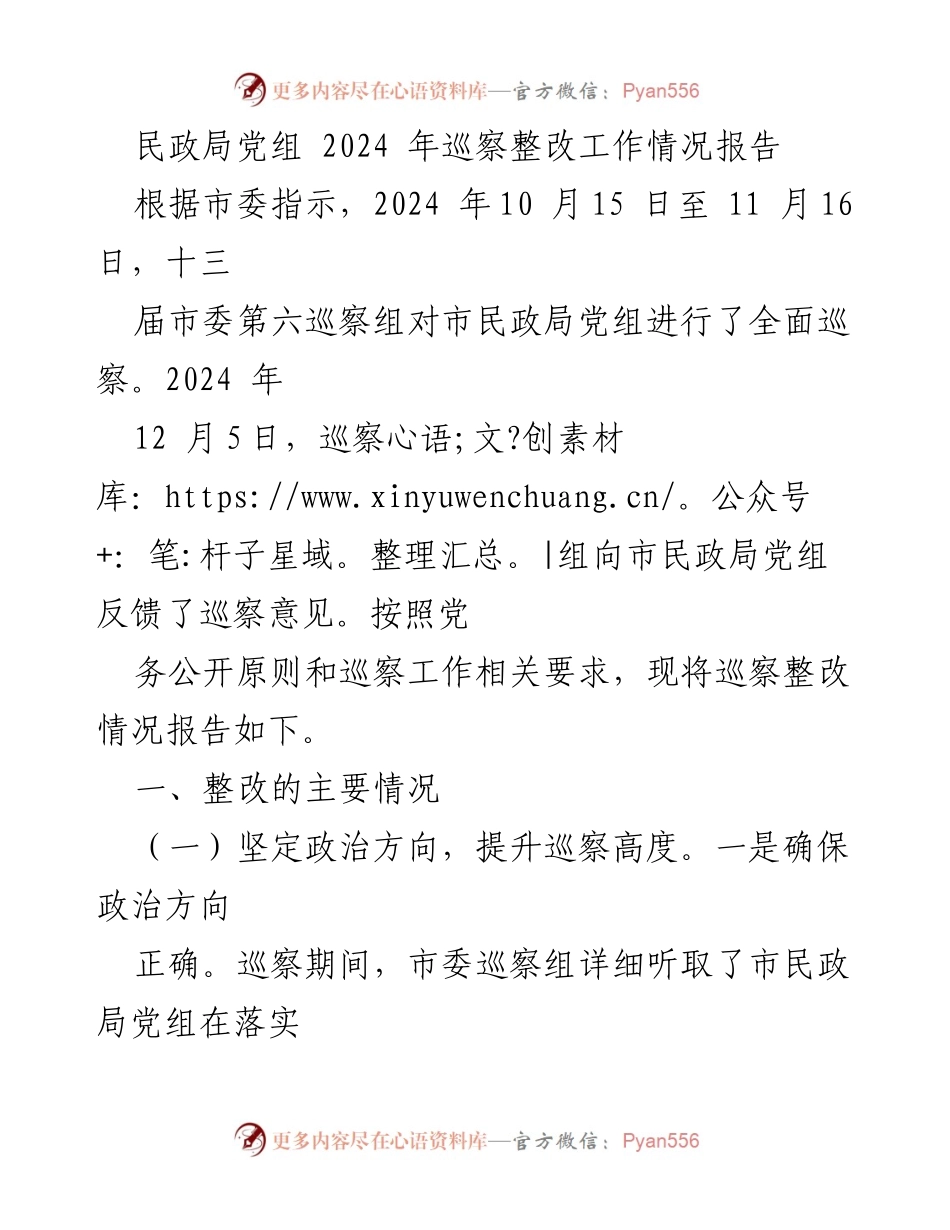 [工作总结] 巡察整改 - 市民政局党组2024年巡察整改工作情况报告.docx_第1页
