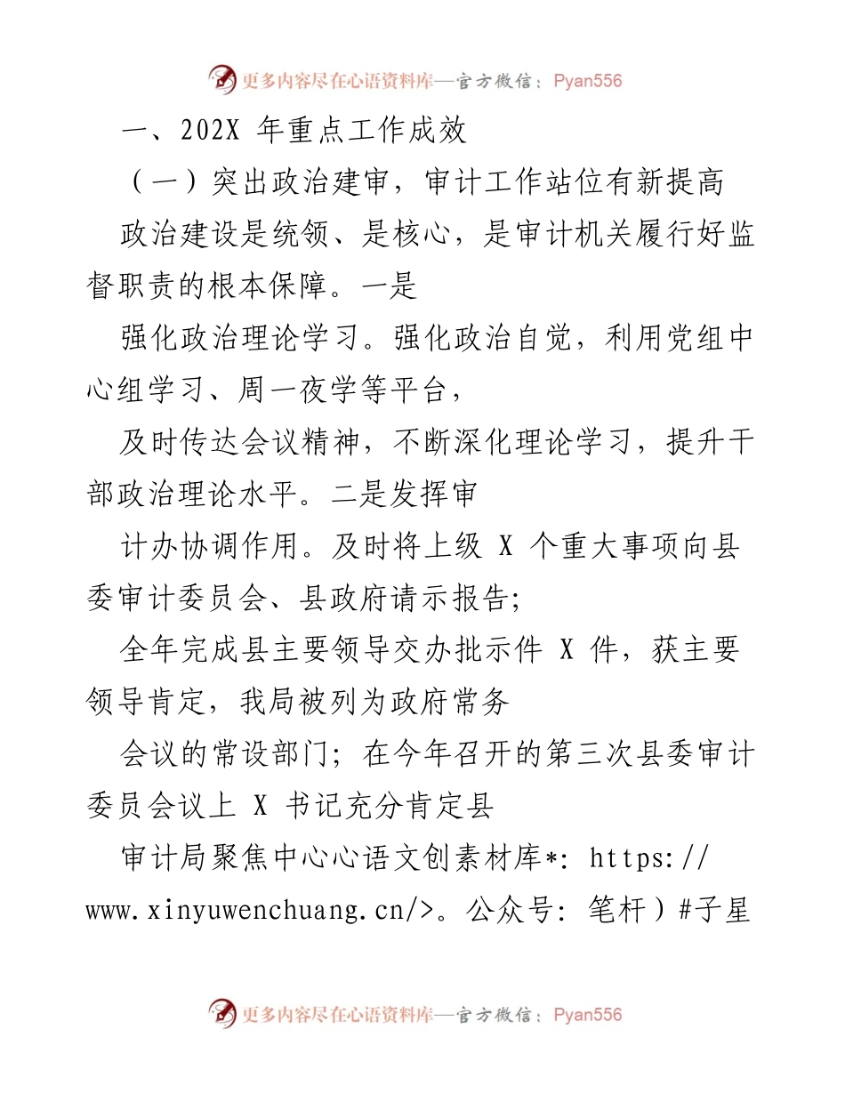 [工作总结] 年度审计工作 - 202X年度审计工作成效总结.docx_第1页