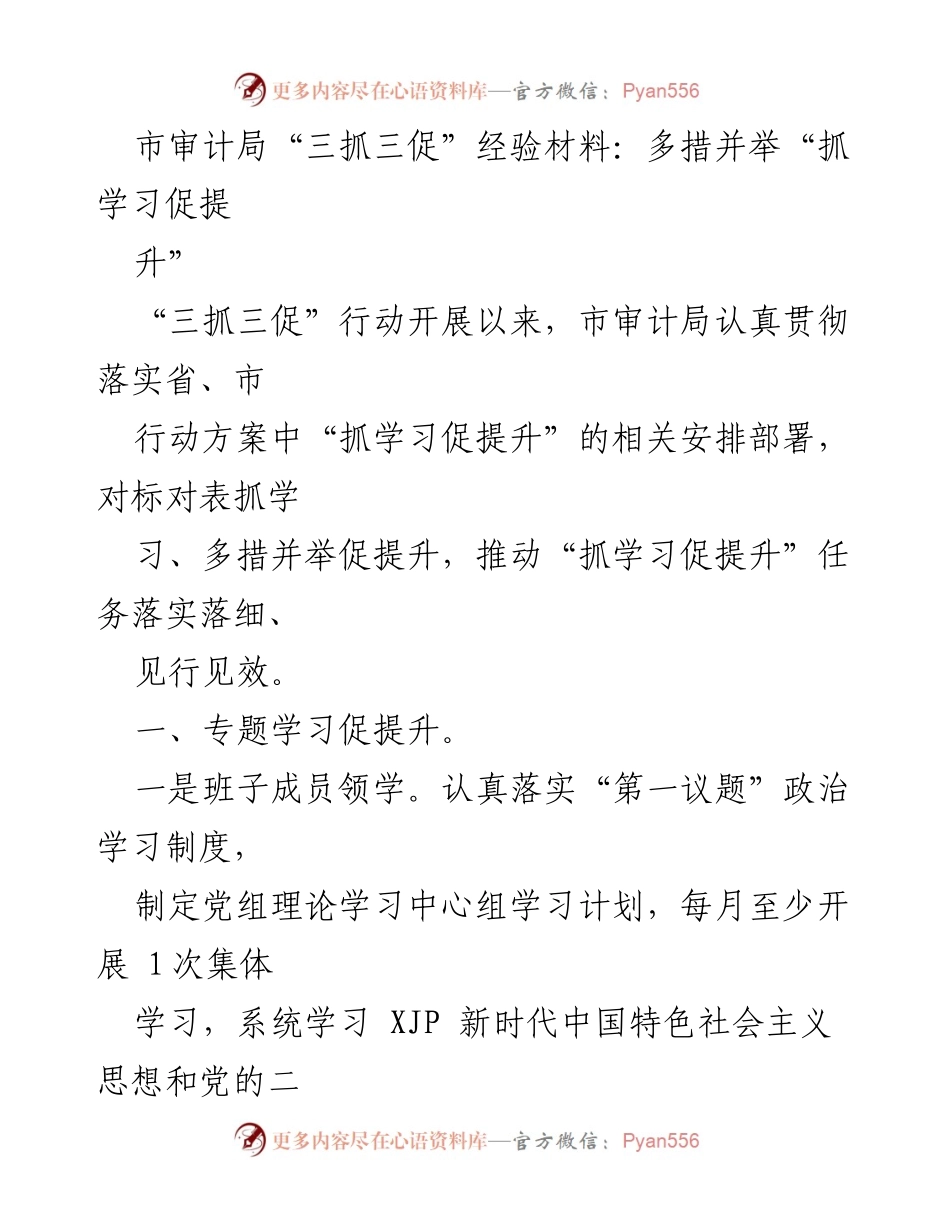 [工作总结] 市审计局 - “三抓三促”行动经验总结与学习提升措施.docx_第1页