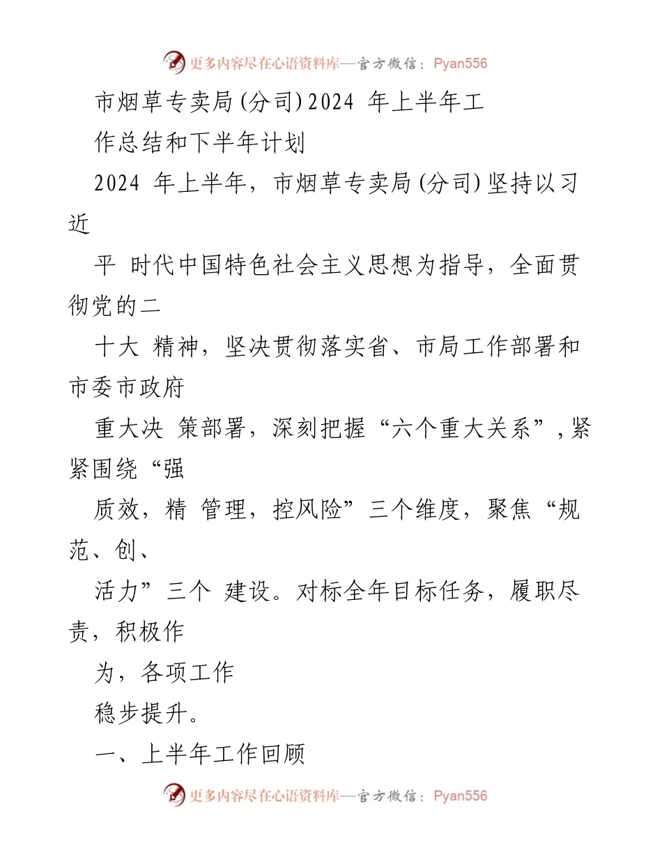 [工作总结] 市烟草专卖局(分司) - 2024年上半年工作总结与下半年计划.docx_第1页