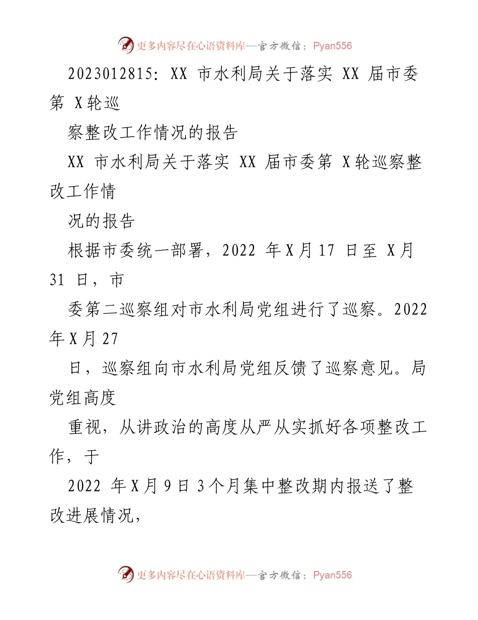 [工作总结] 巡察整改 - XX市水利局巡察整改工作情况总结报告.docx_第1页