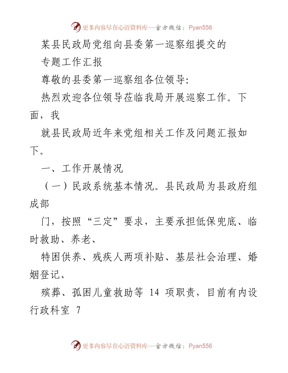[工作总结] 巡察工作 - 县民政局党组工作汇报及问题分析.docx_第1页