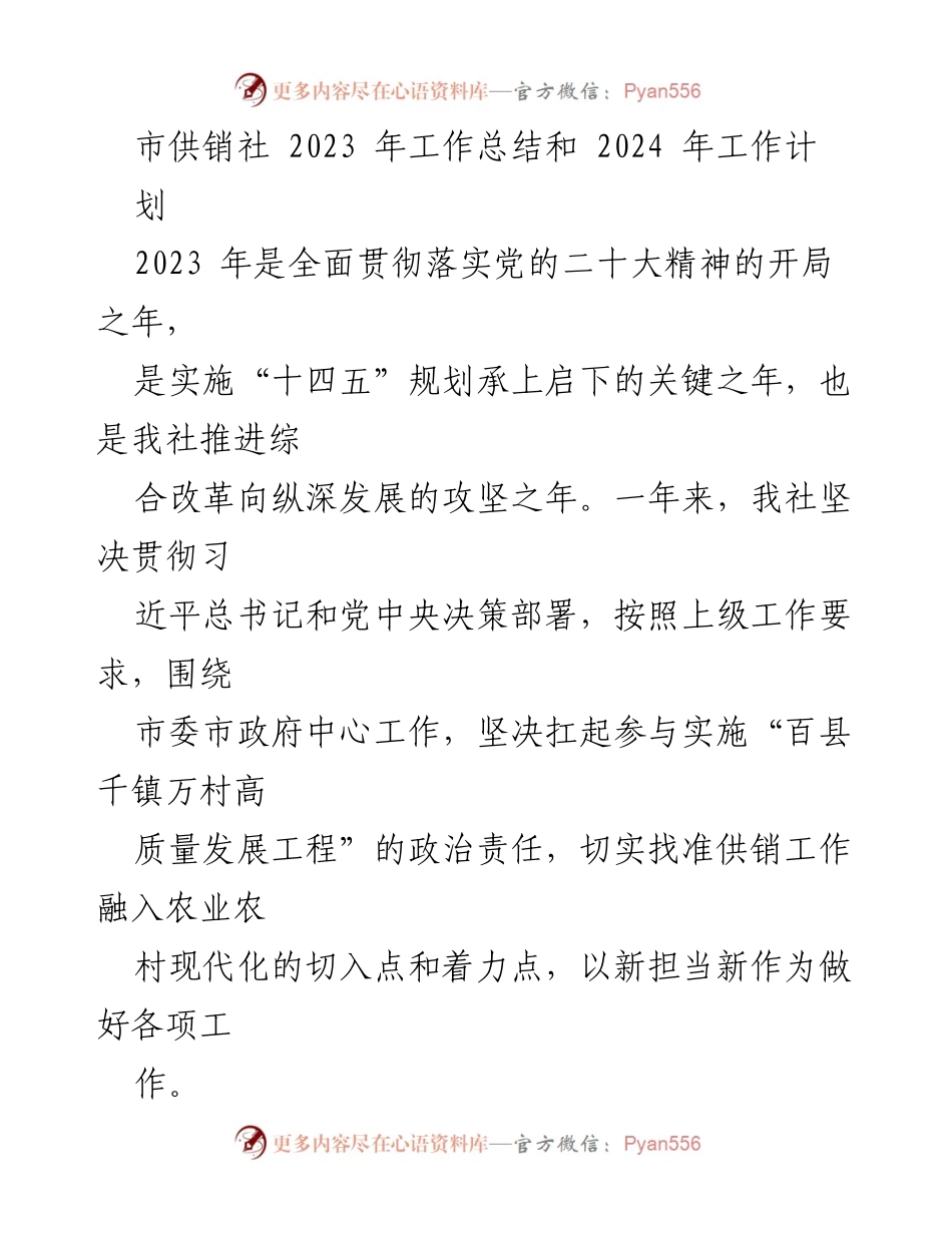 [工作总结] 年度总结 - 2023年市供销社工作总结与2024年工作计划.docx_第1页