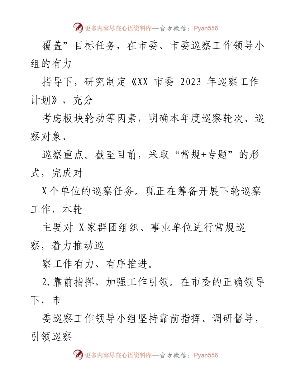 [工作总结] 巡察工作 - XX市2023年巡察工作总结及2024年工作计划.docx_第2页