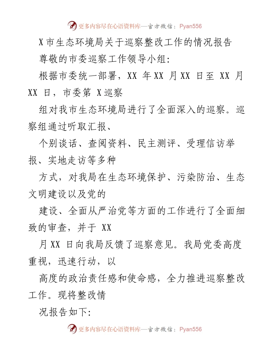 [工作总结] 巡察整改 - X市生态环境局巡察整改工作情况报告.docx_第1页