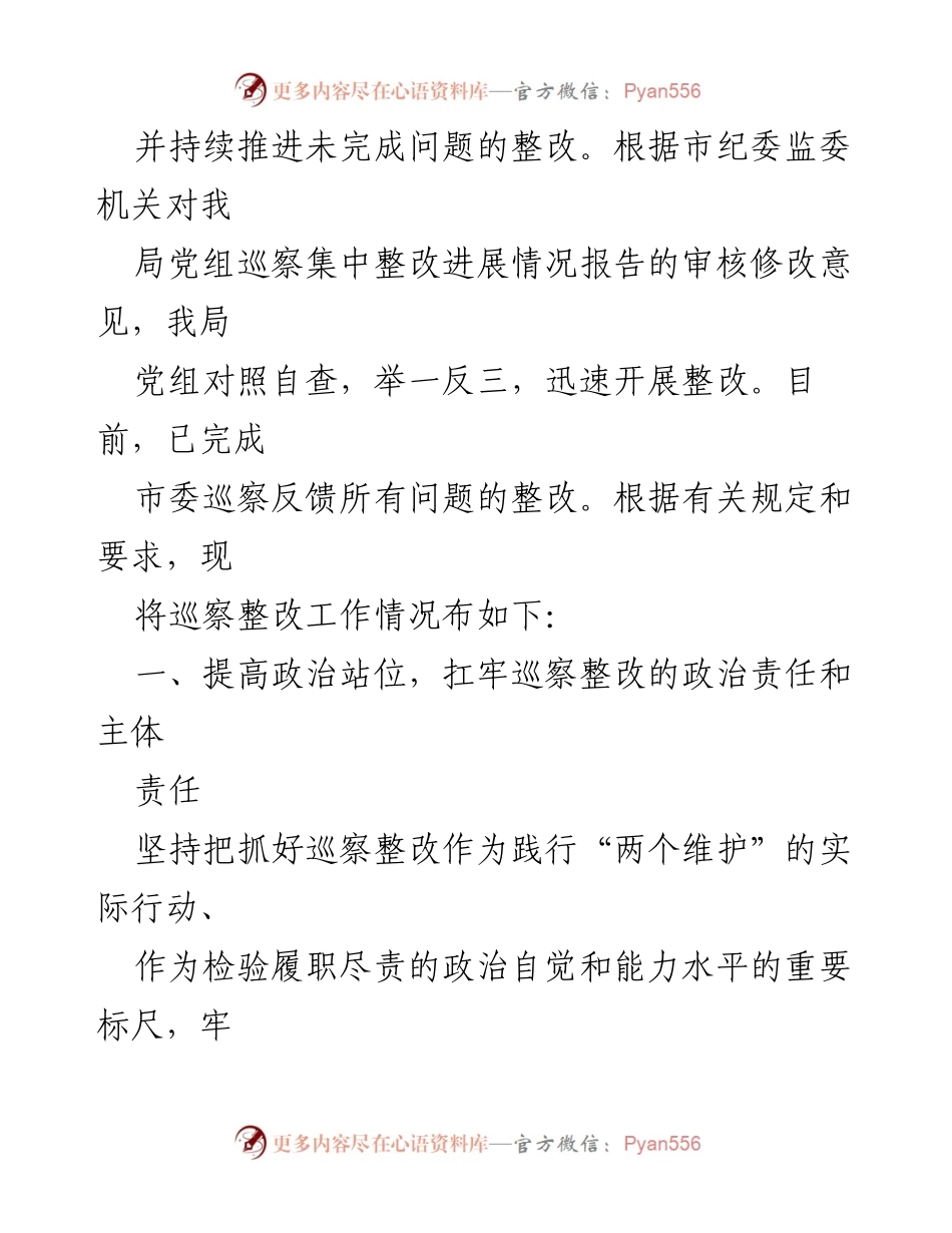 [工作总结] 巡察整改 - XX市水利局巡察整改工作情况报告.docx_第2页