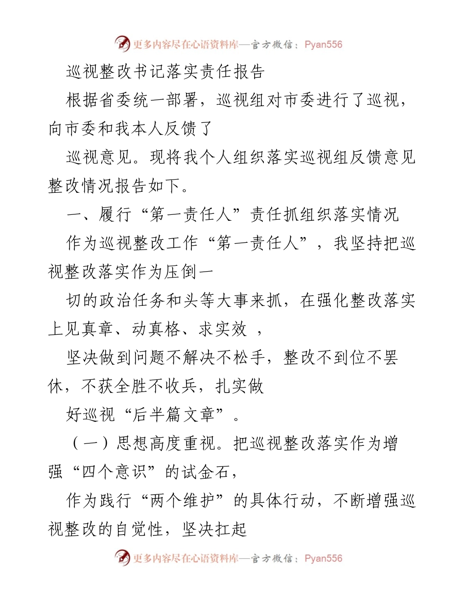 [工作总结] 巡视整改 - 巡视整改落实责任报告_1.docx_第1页