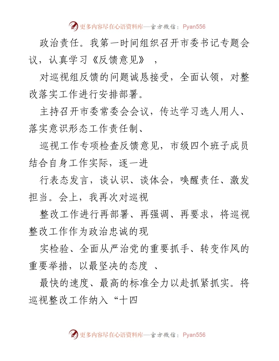 [工作总结] 巡视整改 - 巡视整改落实责任报告_1.docx_第2页