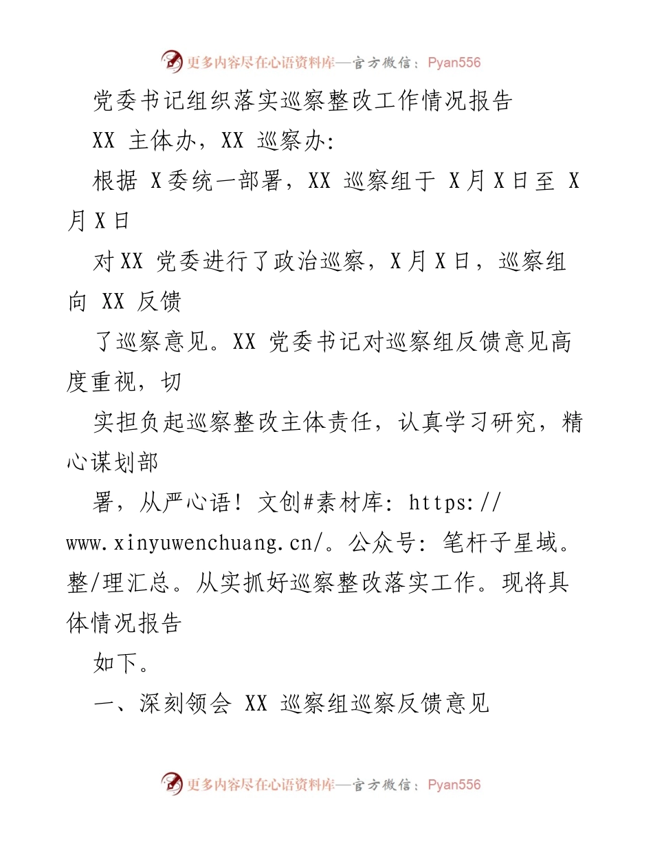[工作总结] 巡察整改 - 党委书记巡察整改工作落实情况报告.docx_第1页