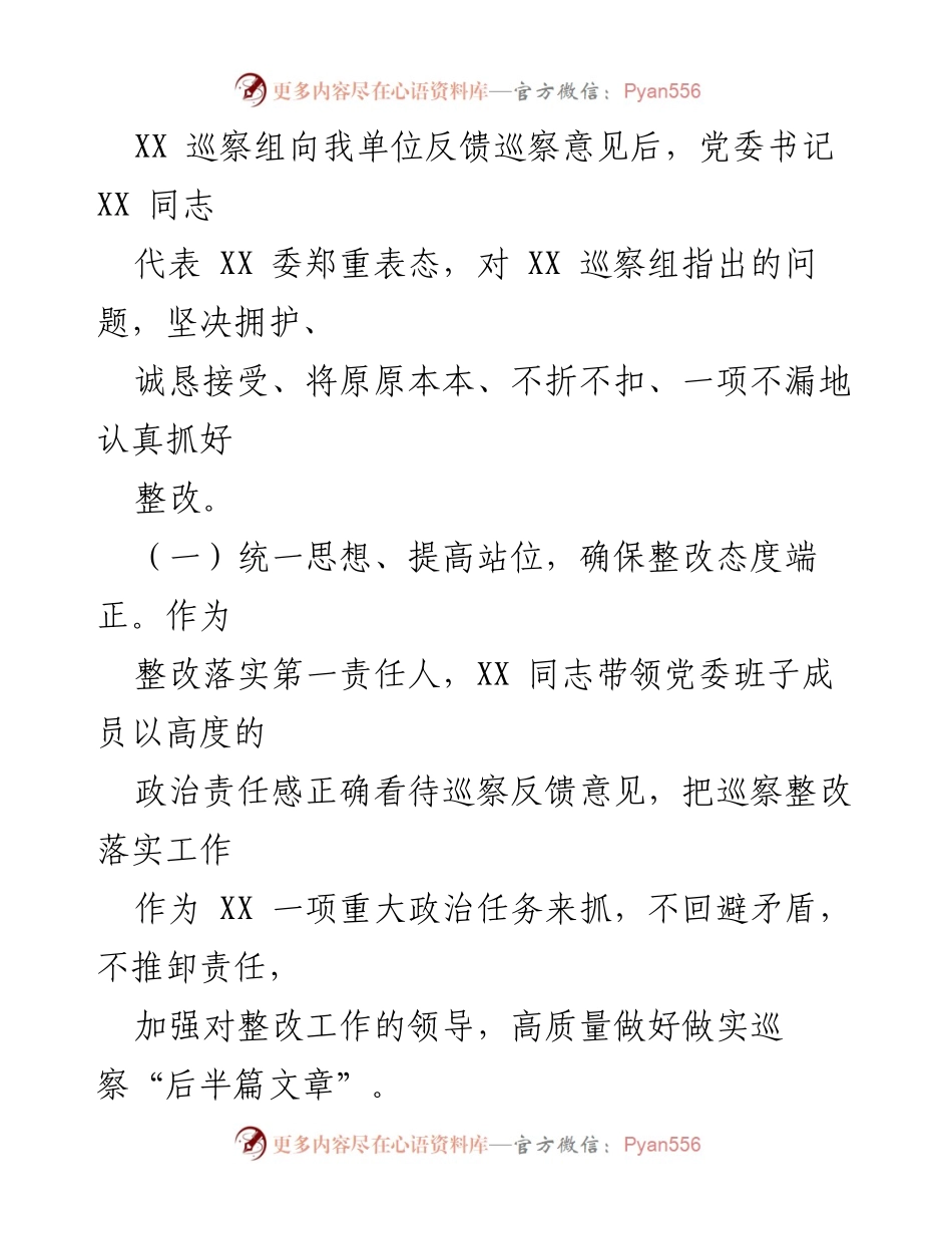[工作总结] 巡察整改 - 党委书记巡察整改工作落实情况报告.docx_第2页