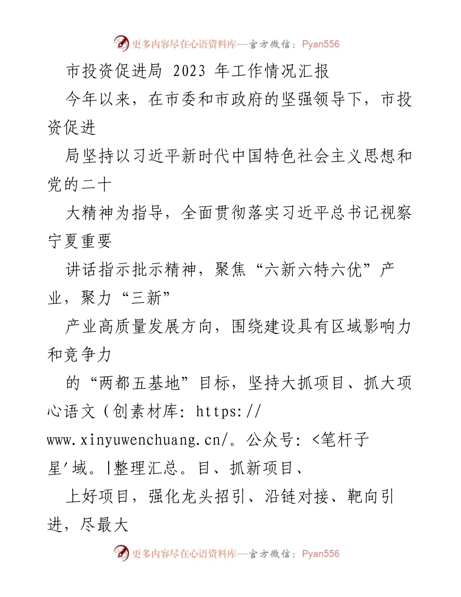 [工作总结] 市投资促进局 - 2023年投资促进工作情况汇报_1.docx_第1页