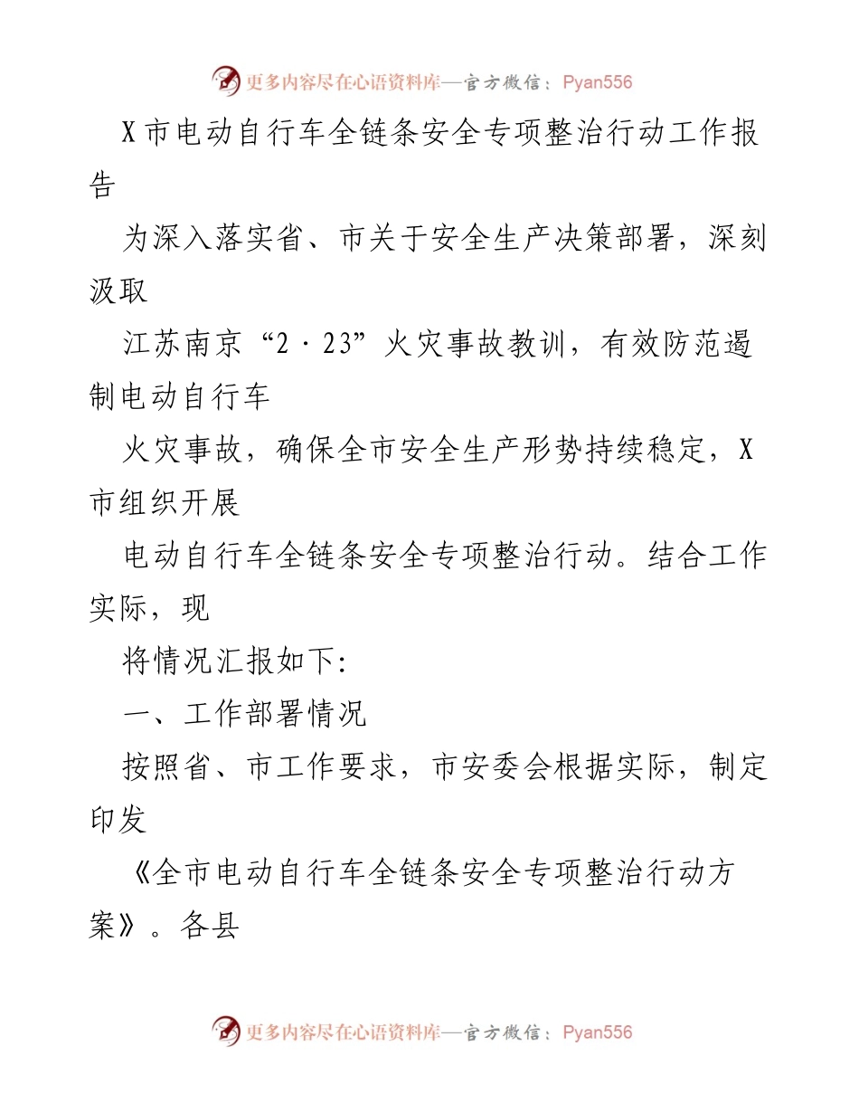 [工作总结] 安全生产专项整治 - X市电动自行车全链条安全专项整治行动工作报告_1.docx_第1页