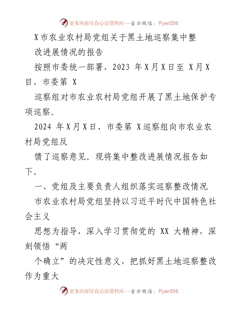 [工作总结] 巡察整改 - X市农业农村局黑土地巡察整改进展情况报告.docx_第1页