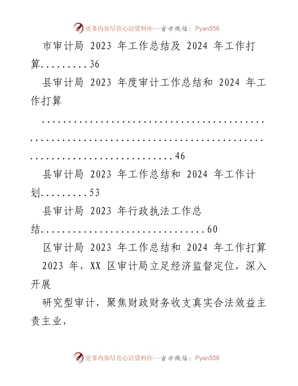 [工作总结] 审计局年度总结 - 2023年度审计局工作总结及2024年工作展望.docx_第2页