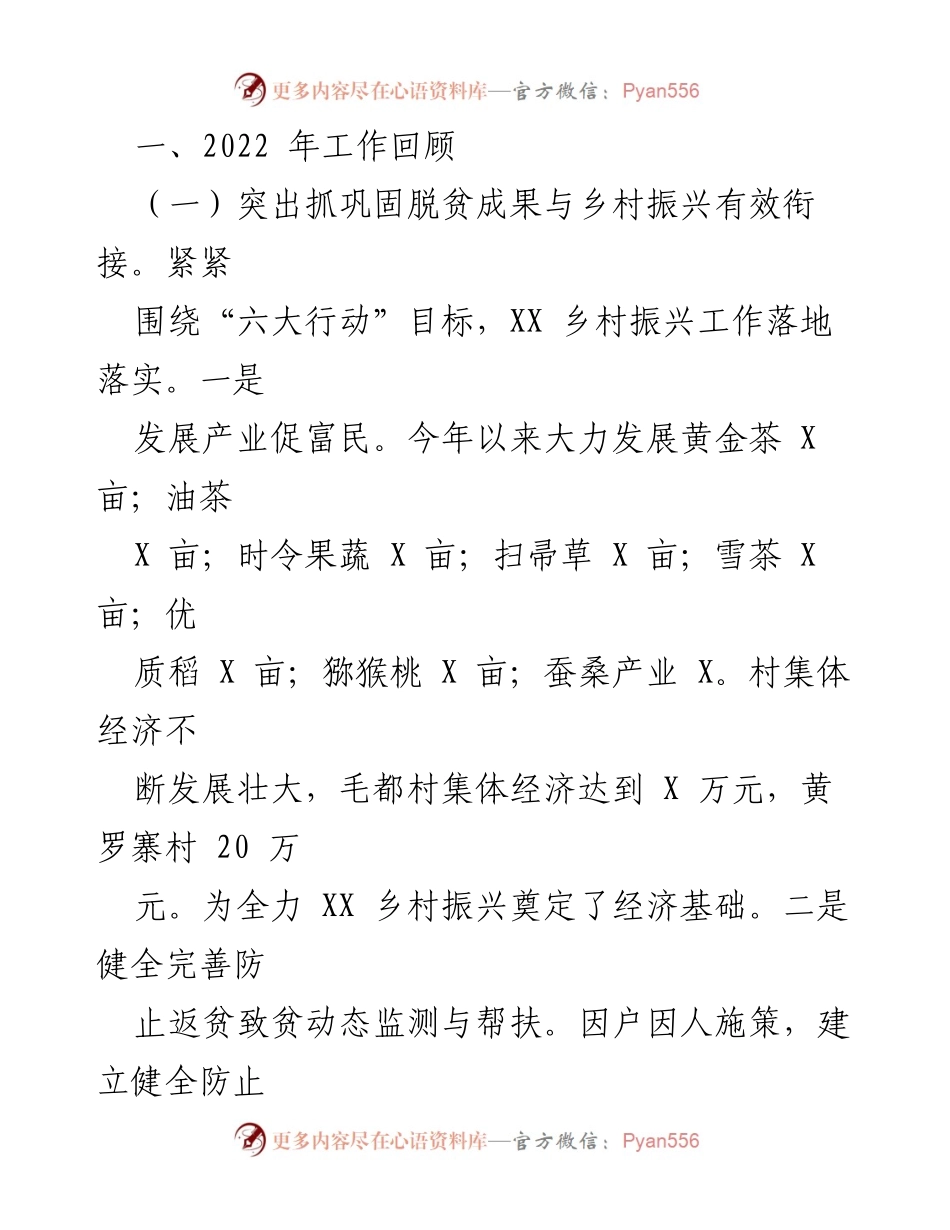 [工作总结] 年度总结 - XX乡2022年度工作总结与2023年工作计划.docx_第2页